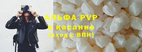 стафф Краснотурьинск