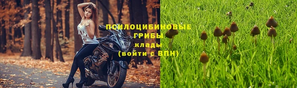 ALPHA-PVP Краснослободск