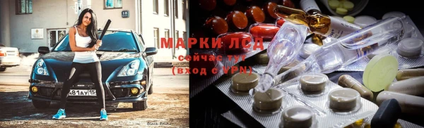 прущие грибы Балашиха