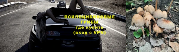 стафф Краснотурьинск
